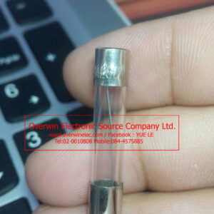 F30A250V FUSE
